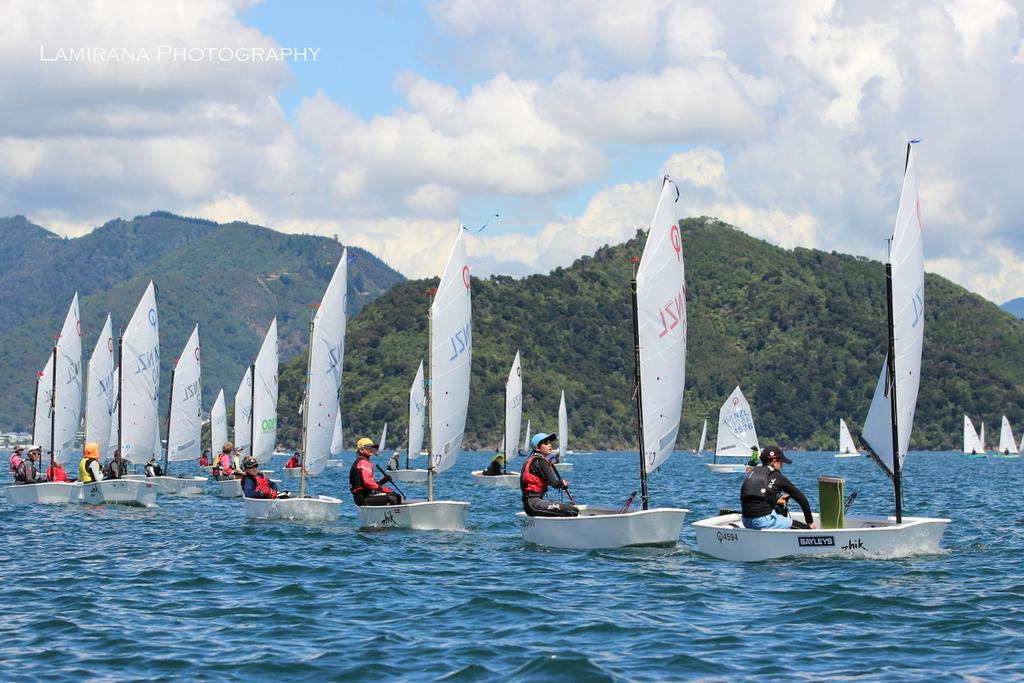 Opti fleet approaching the mark - Interislander Optimist Challenge 2017 and Port Marlborough Starling regatta © Agnes Takacs