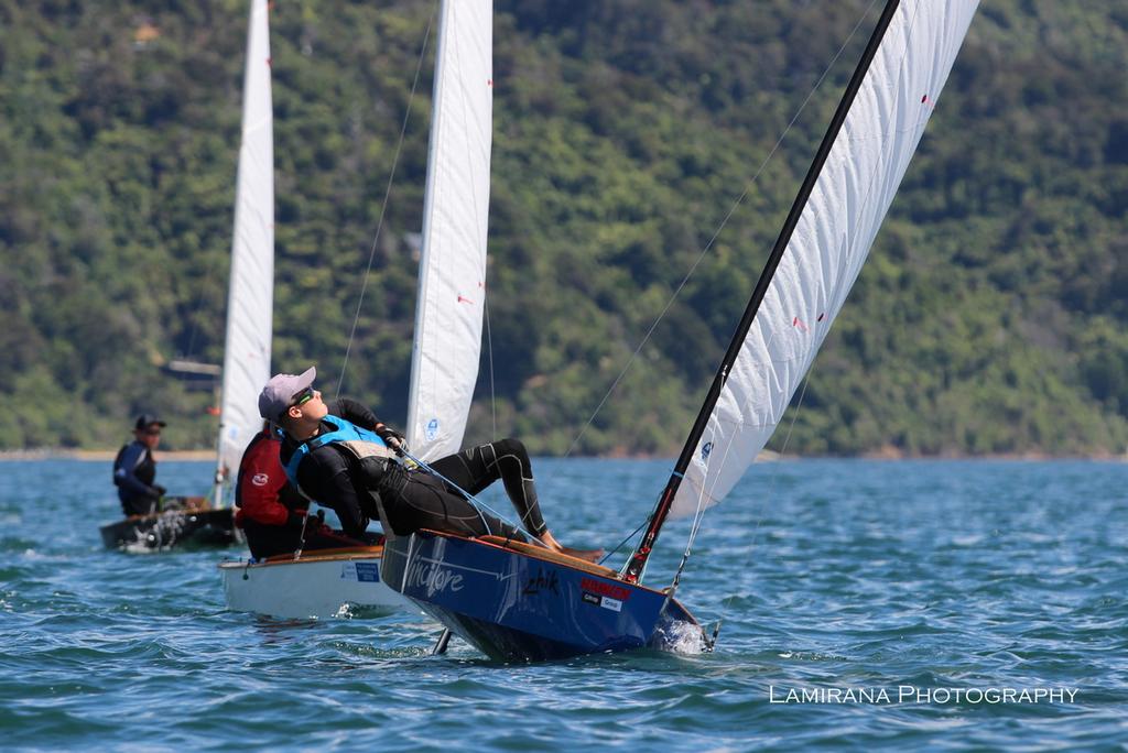 Starling fleet - Interislander Optimist Challenge 2017 and Port Marlborough Starling regatta © Agnes Takacs