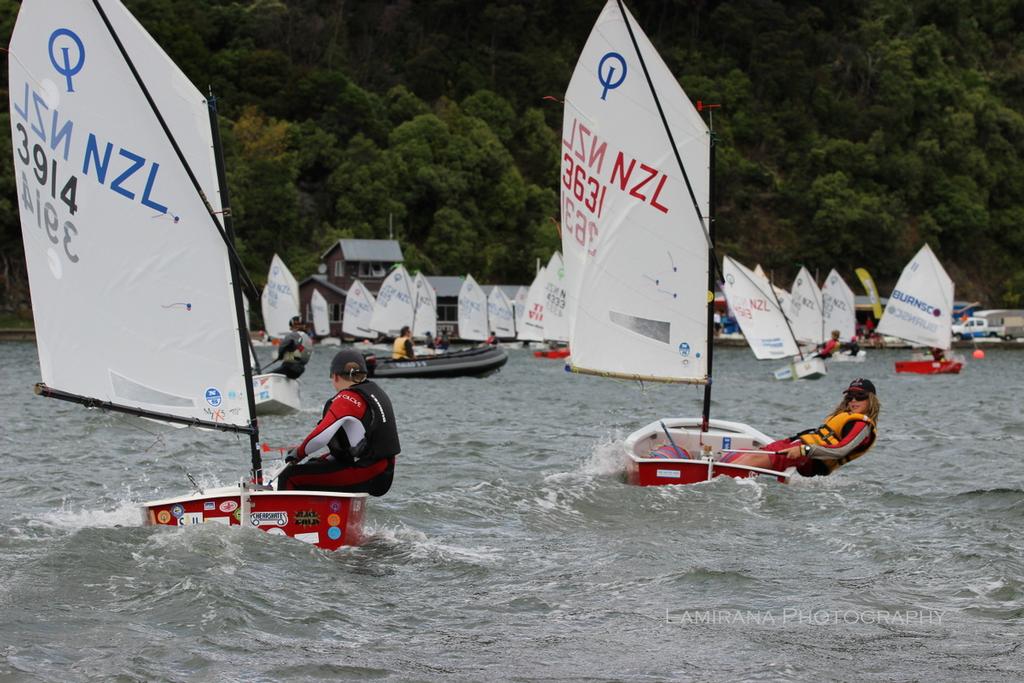 Green fleet sailing infront of Queen Charlotte Yacht club - Interislander Optimist Challenge 2017 and Port Marlborough Starling regatta © Agnes Takacs