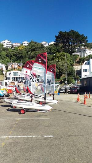 Wellington O'pen BIC fleet ready to go - Chris Hargreaves photo copyright Jennifer Loader taken at  and featuring the  class