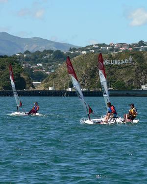 O'pen BICs arrive in Wellington - Jennifer Loader photo copyright Jennifer Loader taken at  and featuring the  class