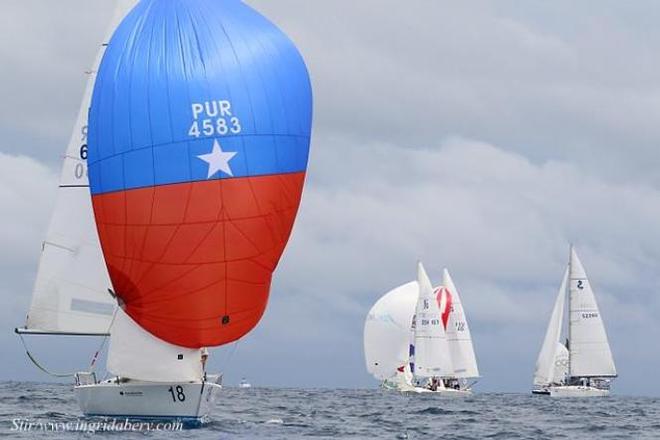 Spinnakers fly on a light wind downwind race into St. Thomas' Charlotte Amalie Harbor. © Ingrid Abery http://www.ingridabery.com