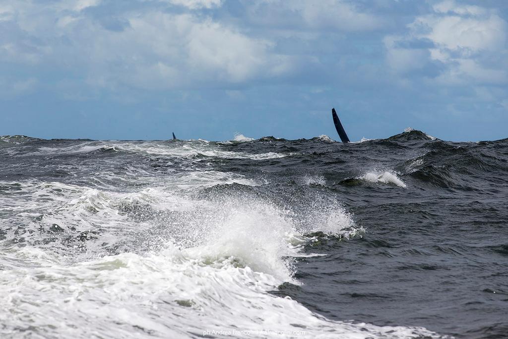 Bogus still present... 2017 Australian Yachting Championship - Day 2 © Andrea Francolini