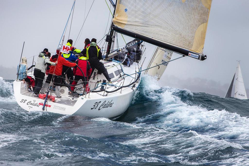 Wet weather gear - must have been serious. - Sydney Harbour Regatta © Andrea Francolini