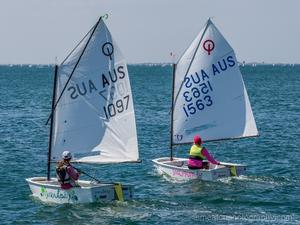 Day 3 – Green fleet – GILL Optimist Victorian Championships photo copyright Denise Smeaton Photography taken at  and featuring the  class
