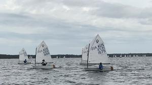 Boat 1575 is Daniel Links Overall NSW Opti champ for 2017 photo copyright Adam Beashel taken at  and featuring the  class