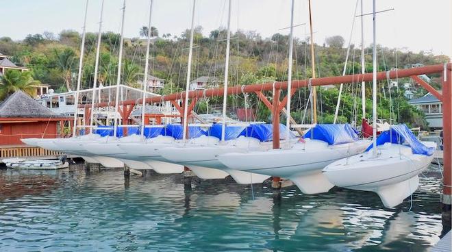 Nine teams from all over the world have expressed their interest - Antigua Dragon Yacht Club Challenge &copy;  Shirley Falcone