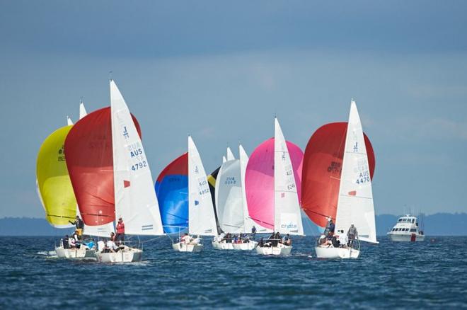 The ‘Balmy Regatta’ fleet downwind to the finish © J24 Australia http://j24australia.com.au/