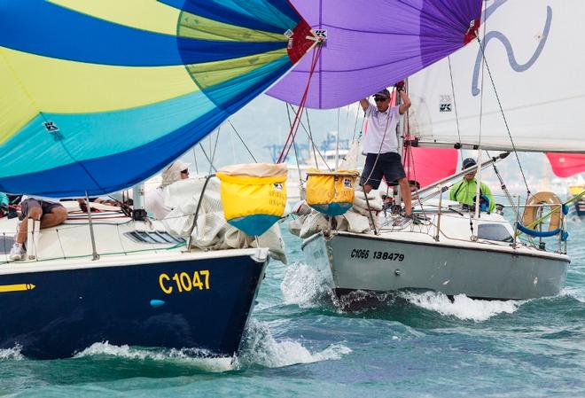 Final race of Tomes Cup ©  RHKYC/Guy Nowell http://www.guynowell.com/