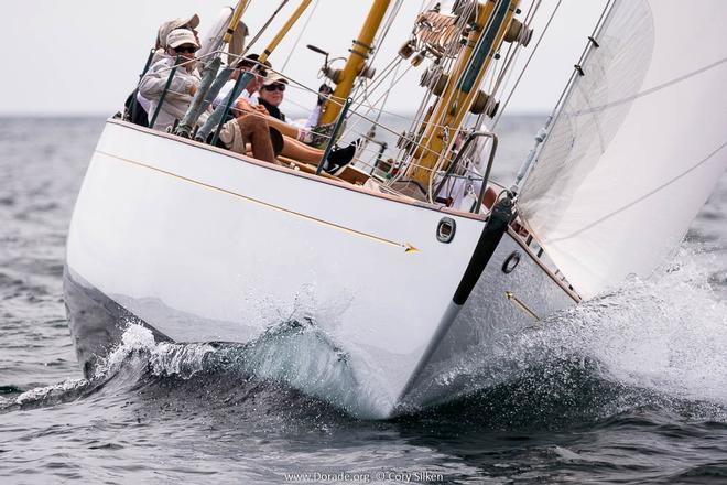 Dorade sailing in Maine last summer  ©  Cory Silken