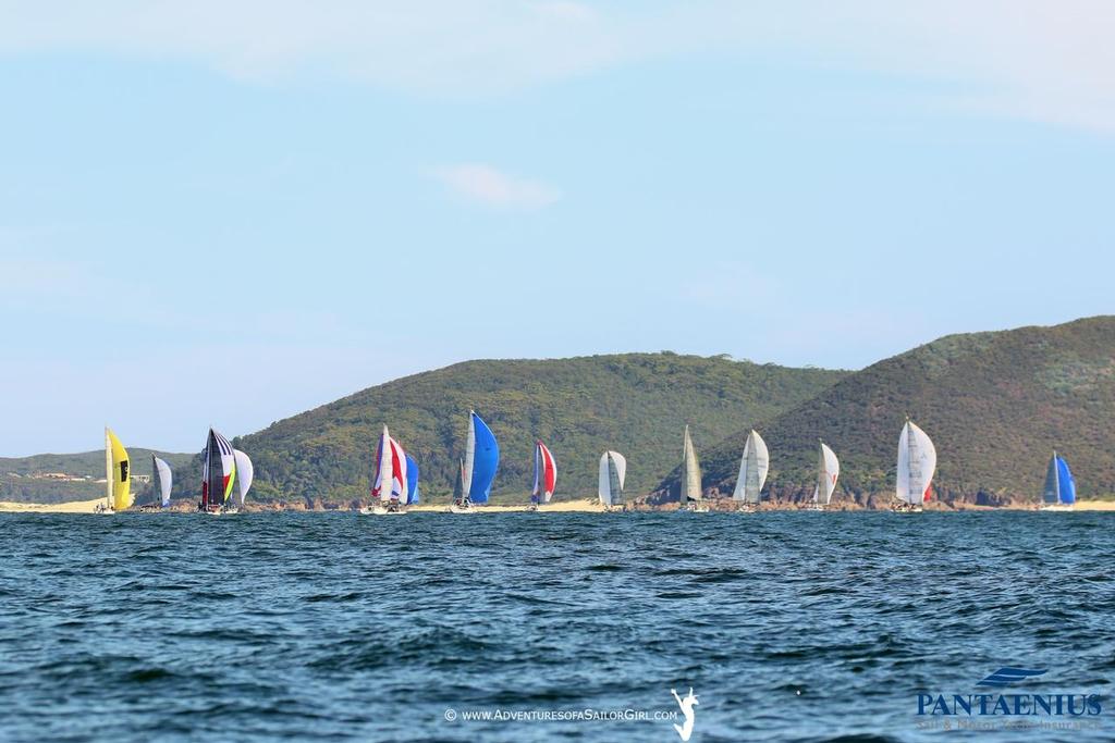 Cruising Divisions got right into it and added their own colour to the imagery - Sail Port Stephens photo copyright Nic Douglass / www.AdventuresofaSailorGirl.com taken at  and featuring the  class