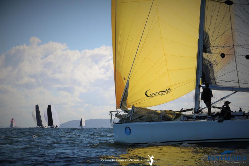 No caption required.... - Sail Port Stephens photo copyright Nic Douglass / www.AdventuresofaSailorGirl.com taken at  and featuring the  class