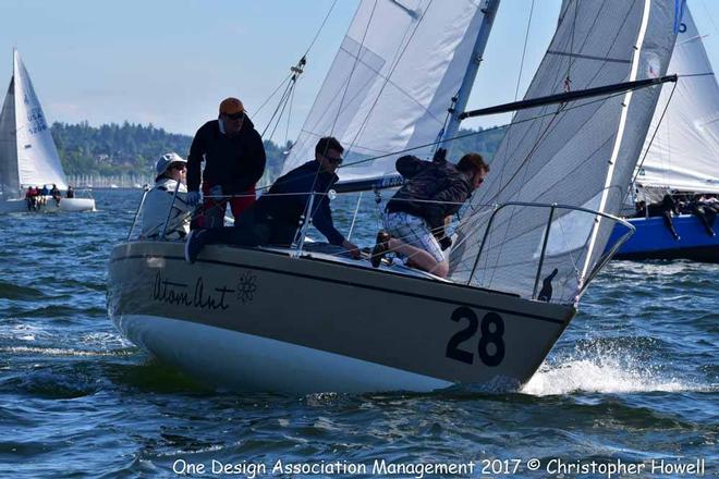 2017 J/24 US National Championship &copy; Christopher Howell