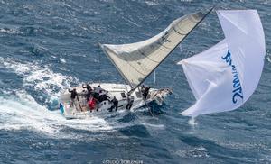 Rolex Capri Sailing Week photo copyright  Studio Borlenghi / Carlo Borlenghi / Gattini taken at  and featuring the  class