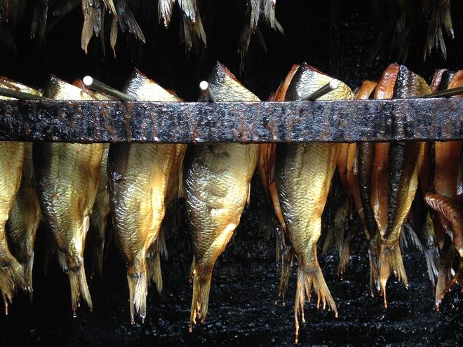 Herring smoking © SV Taipan