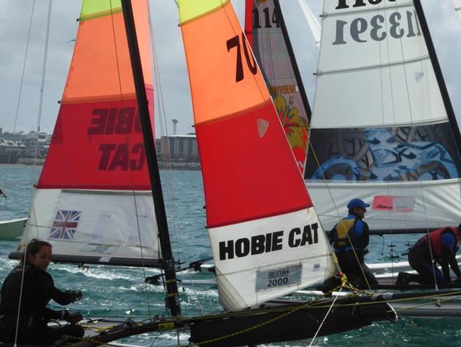 H16's starting – Channel Islands Hobie Cat Championships ©  Elaine Burgis