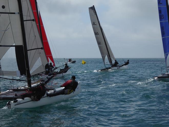 Hobie Wildcats and Tigers – Channel Islands Hobie Cat Championships ©  Elaine Burgis