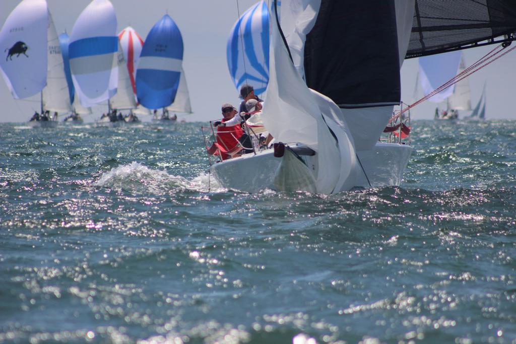 Day 2 - Ullman Sails Long Beach Race Week 2017 ©  Erin Rustigian