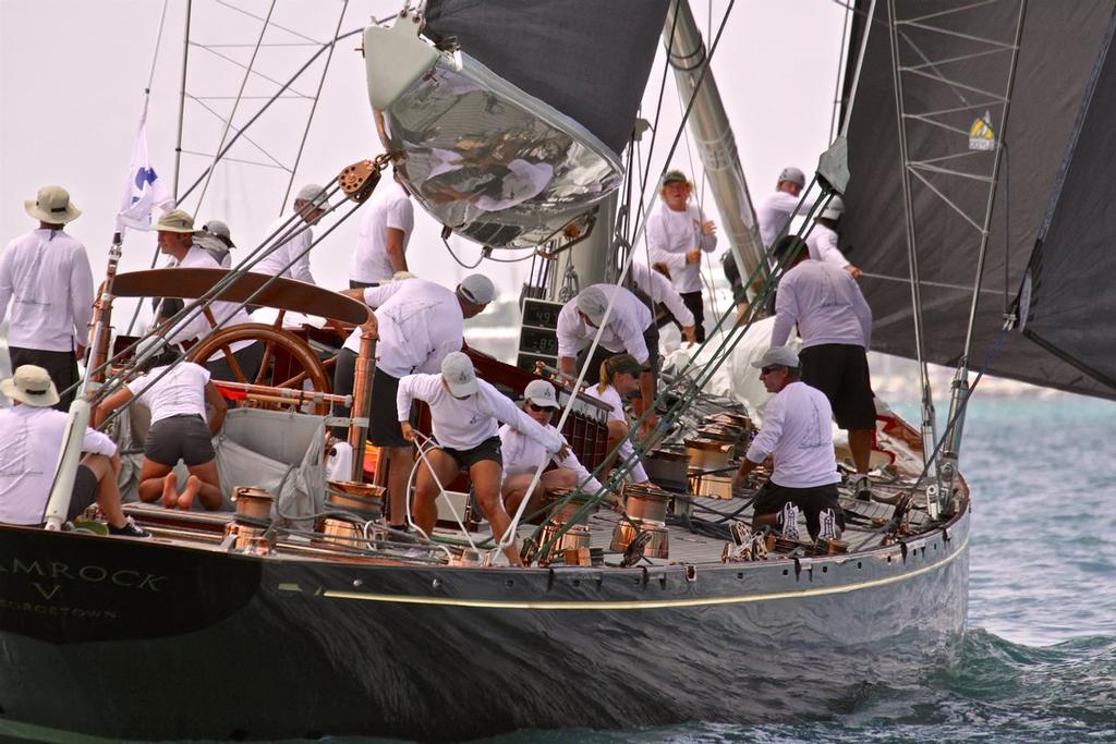 Shamrock V - J- Class Regatta - 35th America's Cup - Bermuda  June 17, 2017 photo copyright Richard Gladwell www.photosport.co.nz taken at  and featuring the  class