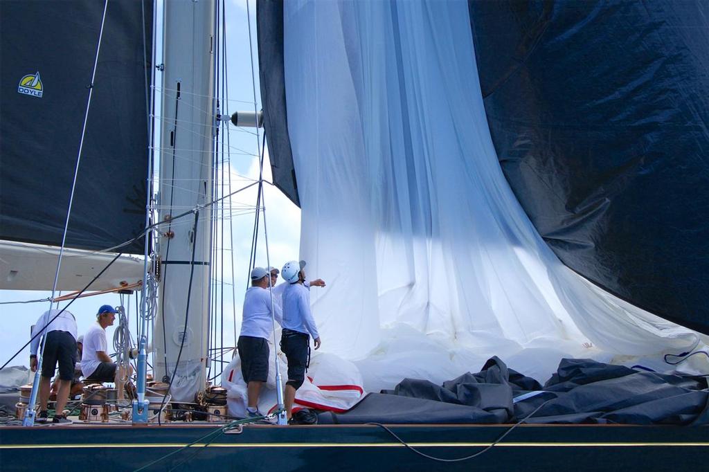 Shamrock V - J- Class Regatta - 35th America's Cup - Bermuda  June 19, 2017 © Richard Gladwell www.photosport.co.nz