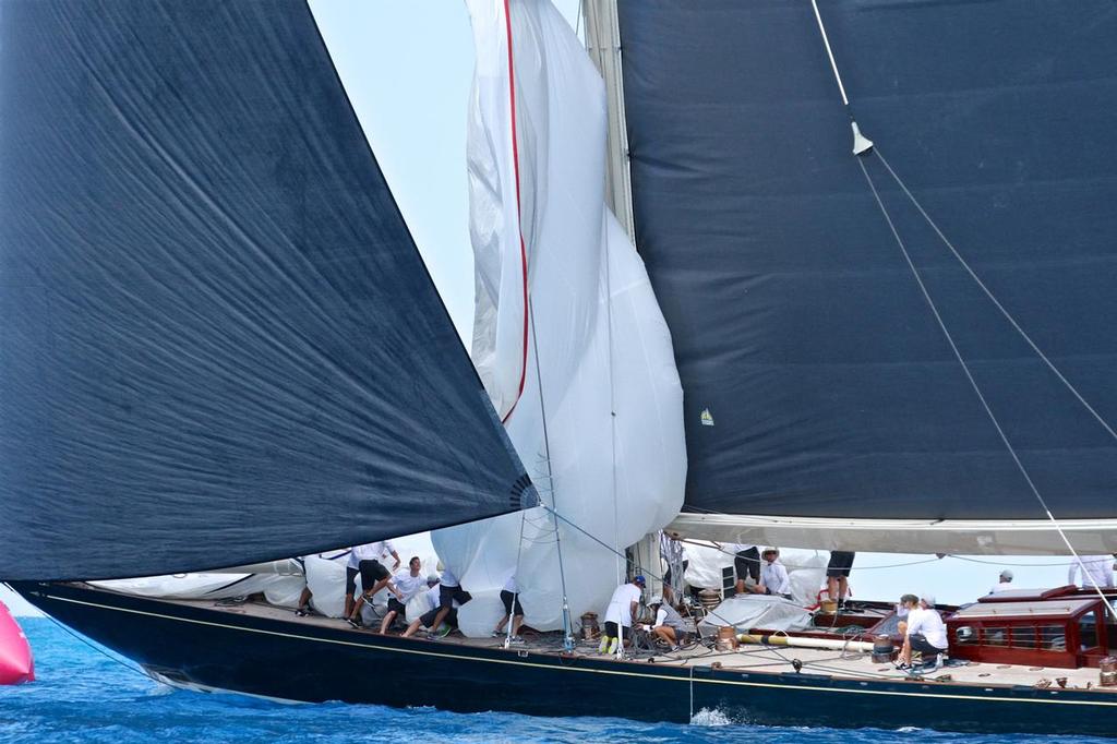 Shamrock V - J- Class Regatta - 35th America's Cup - Bermuda  June 19, 2017 photo copyright Richard Gladwell www.photosport.co.nz taken at  and featuring the  class