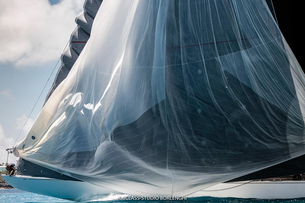 America's Cup J-Class Regatta 2017 © J-Class | Studio Borlenghi