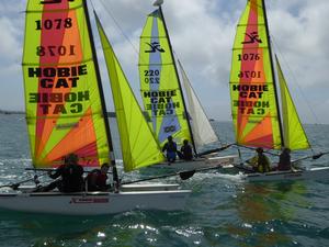 Dragoons starting – Channel Islands Hobie Cat Championships photo copyright  Elaine Burgis taken at  and featuring the  class