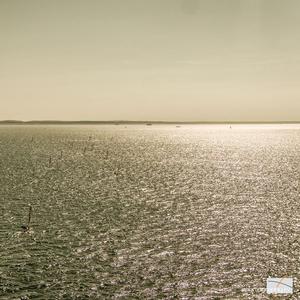 Upwind far away – RS800 Summer Championship at Hayling Island Sailing Club photo copyright Sportography.tv taken at  and featuring the  class