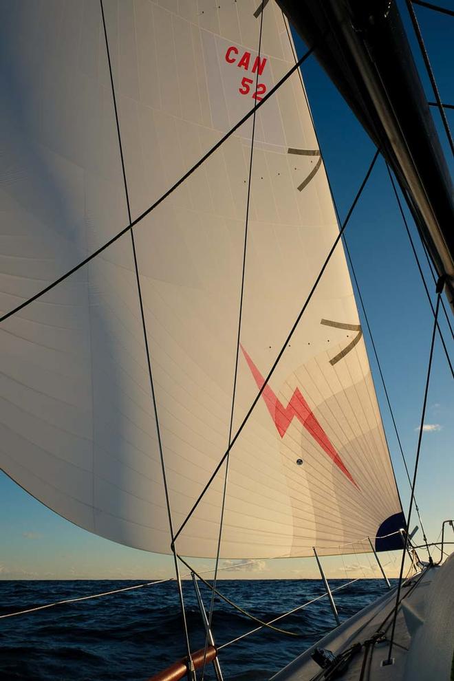 Kinetic's spinnaker illuminated with morning light - 2017 Transpac Race © Gaylean Sutcliffe / Kinetic V