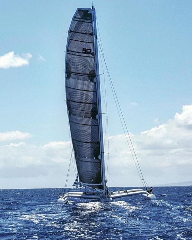 LoeReal with Diamond Head in sight - 2017 Transpac Race © Betsy Crowfoot/Ultimate Sailing