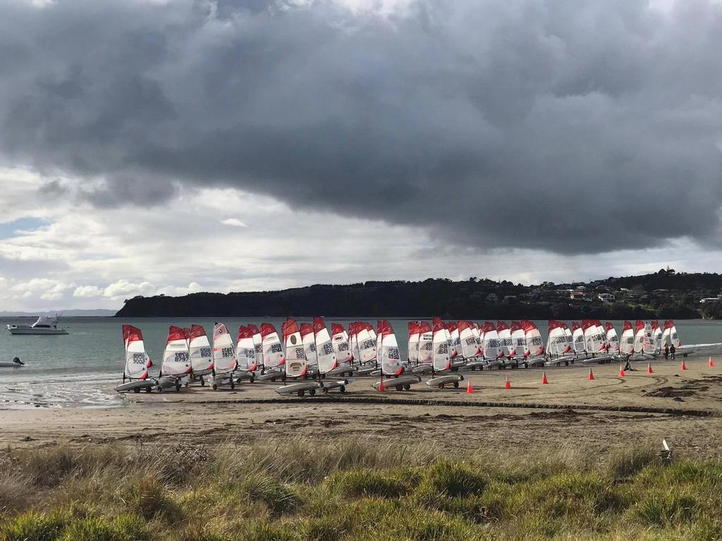 87 O'pen BIC's on Manly Beach  - 2017 Forward Sailing Winter O'pen BIC Cup photo copyright Bryce M taken at  and featuring the  class