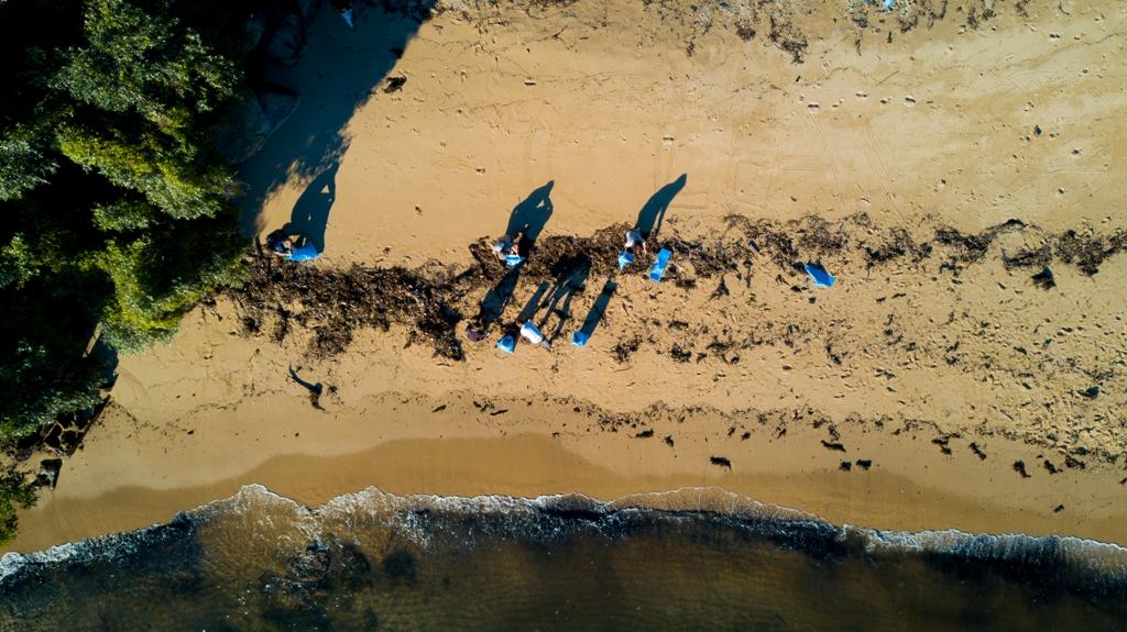 Ocean Alliance teams up with the yachting industry and environment advocacy group, Take 3, to clean Sydney’s beaches. © Ocean Alliance