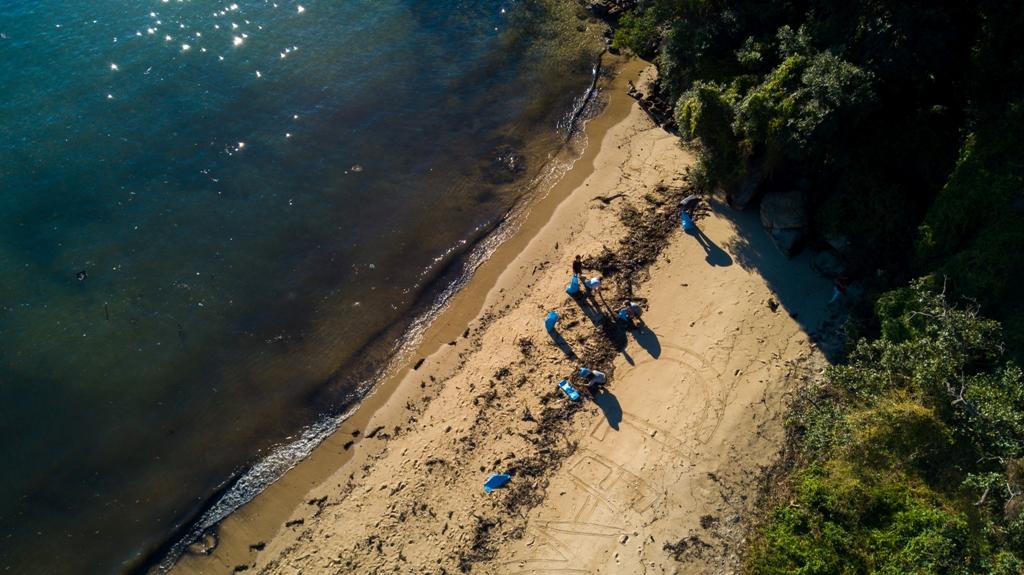 Ocean Alliance teams up with the yachting industry and environment advocacy group, Take 3, to clean Sydney’s beaches. © Ocean Alliance