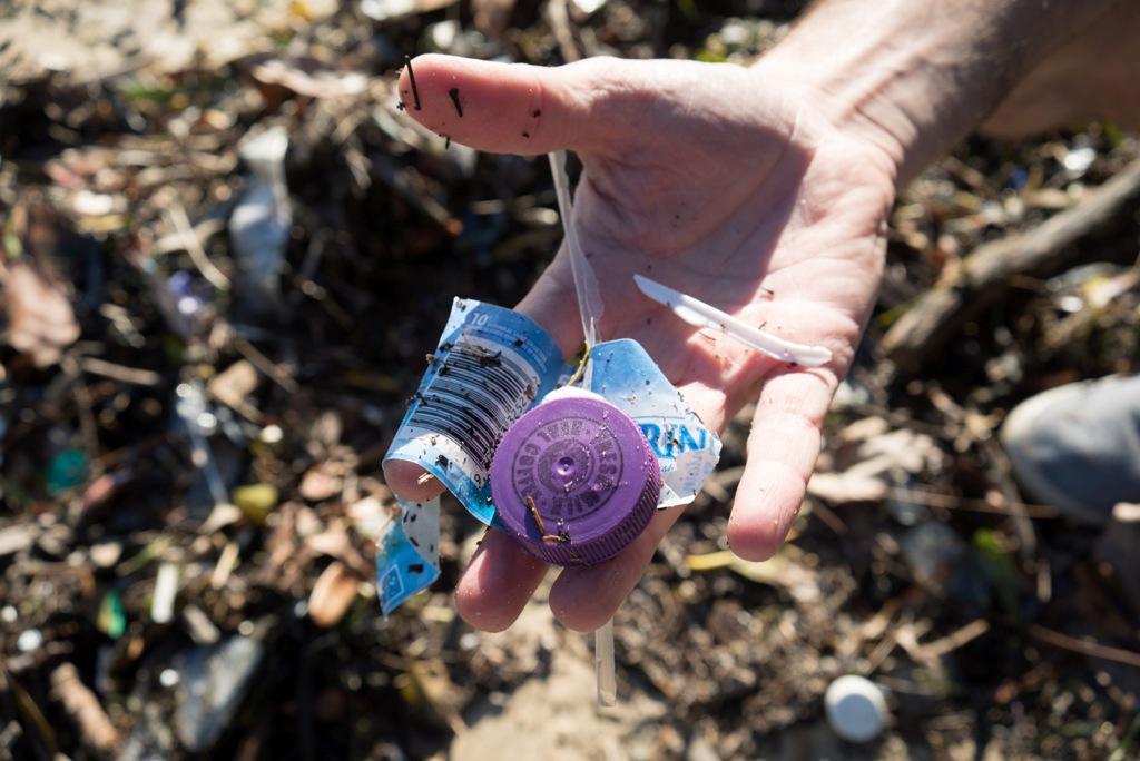 Ocean Alliance teams up with the yachting industry and environment advocacy group, Take 3, to clean Sydney’s beaches. © Ocean Alliance