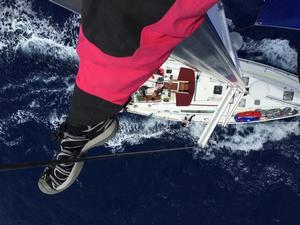 Work aloft to pad spreaders on Tropic Thunder - 2017 Transpac Race photo copyright  Sharon Green / Ultimate Sailing taken at  and featuring the  class