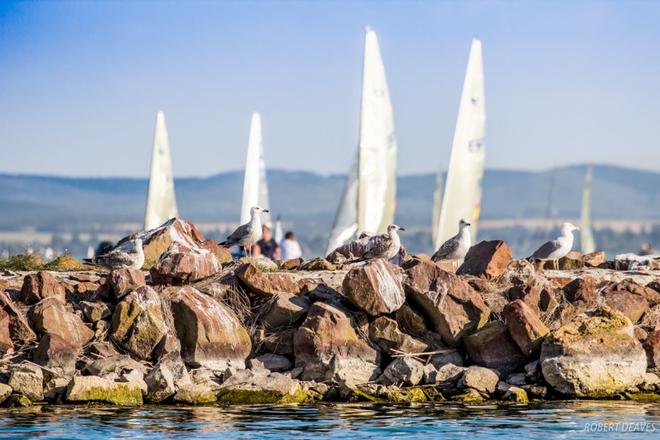 Day 2 – U23 Finn World Championship ©  Robert Deaves