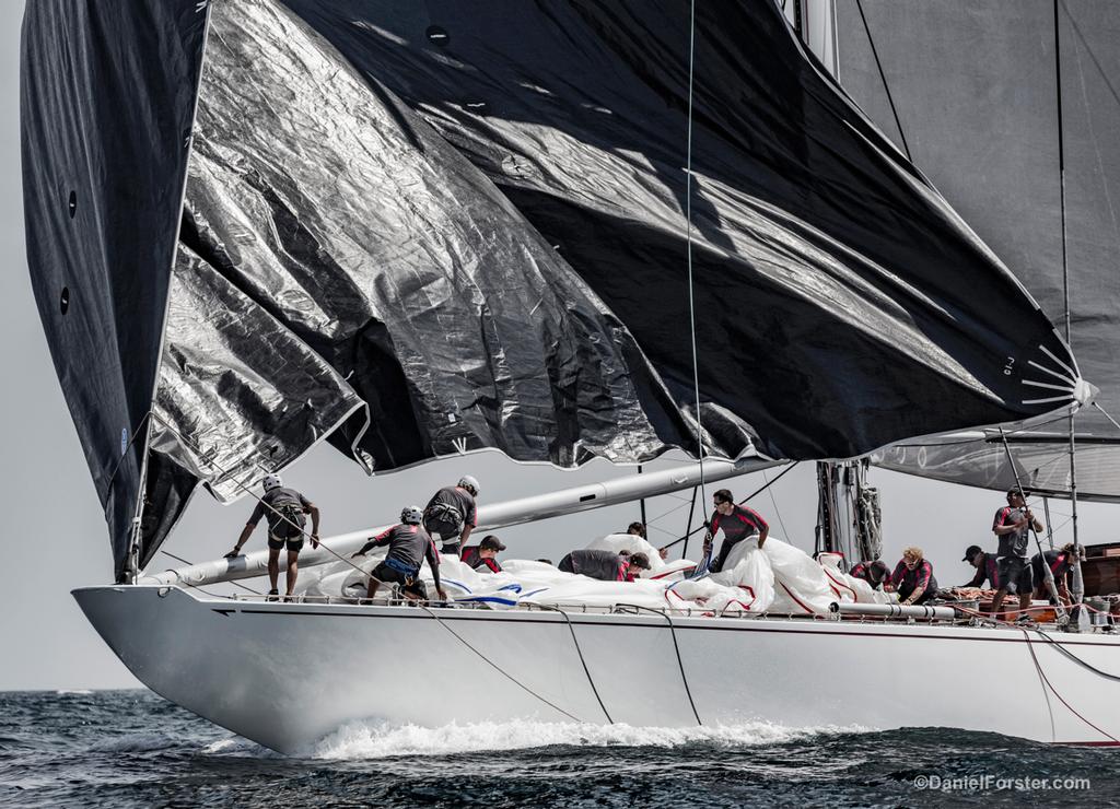 Ranger - 2017 J-Class World Championship Newport RI  © Daniel Forster http://www.DanielForster.com