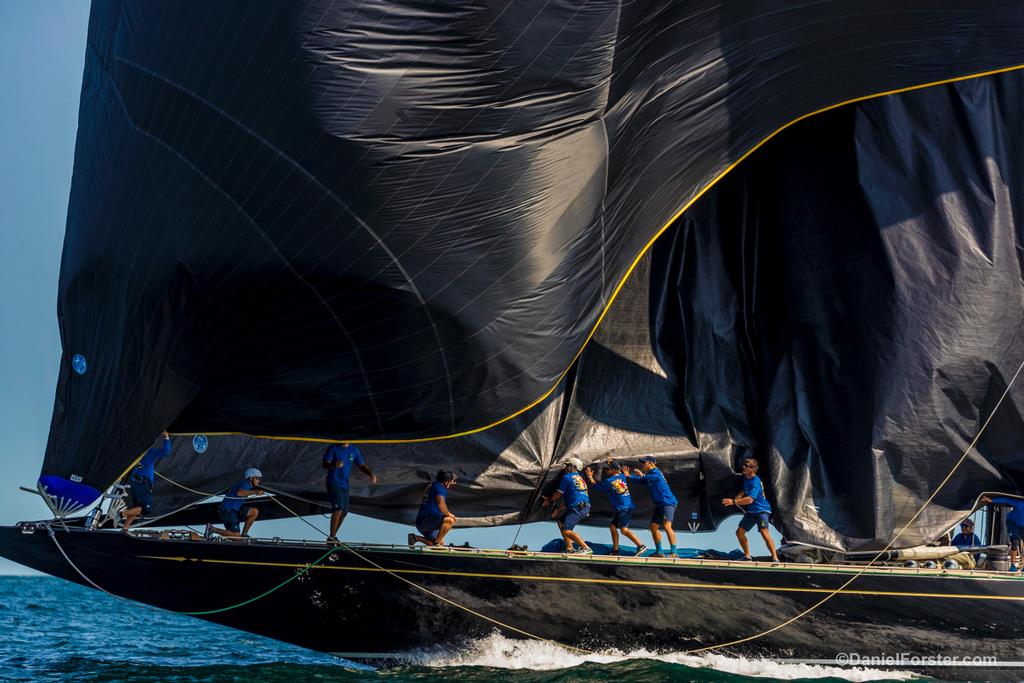 Hanuman - 2017 J-Class World Championship Newport RI <br />
 © Daniel Forster http://www.DanielForster.com