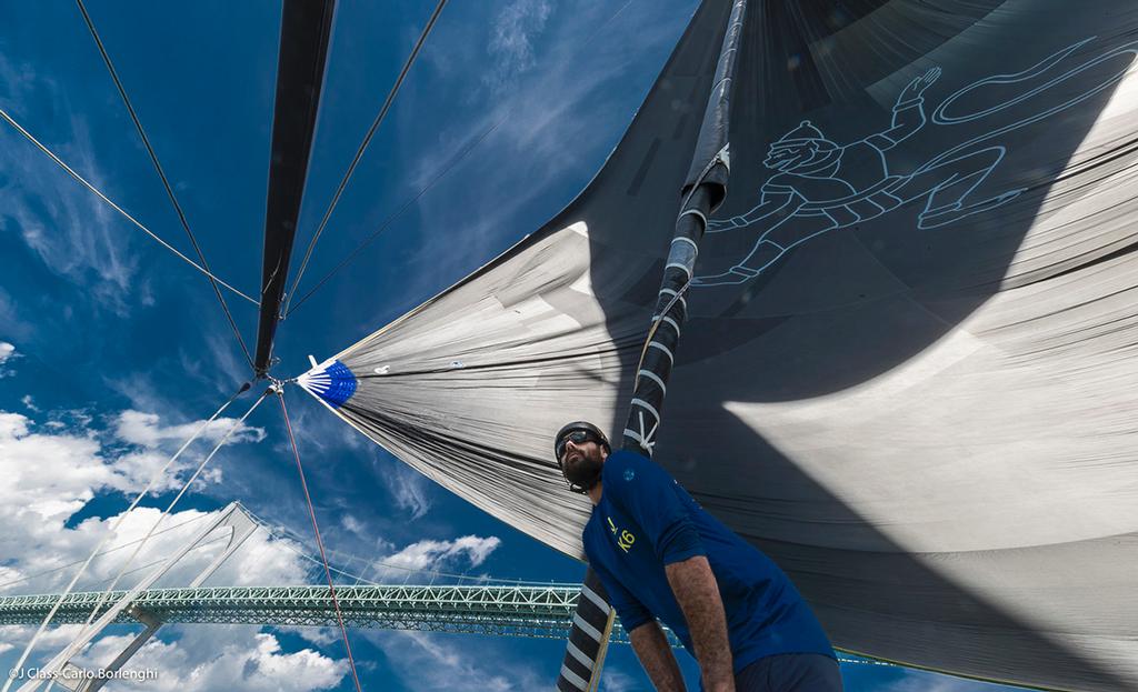 2017 J Class World Championships - Newport RI photo copyright Carlo Borlenghi taken at  and featuring the  class