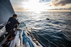 Turn the Tide on Plastic – Volvo Ocean Race photo copyright  Jeremie Lecaudey / Volvo Ocean Race taken at  and featuring the  class