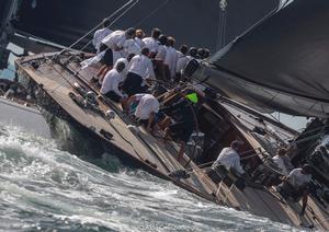 J Class Word Champioship photo copyright  Carlo Borlenghi / J Class taken at  and featuring the  class