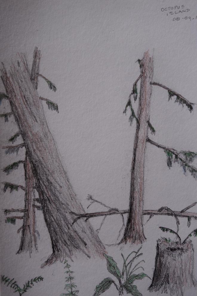 Voyage from Vancouver to the Broughtons &copy; Rosemary Sanderson