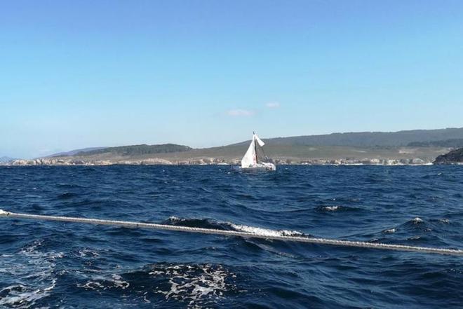 Mini-Transat La Boulangère ©  Christophe Breschi