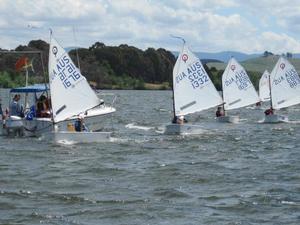 Intermediate Fleet Winner Stella Hurley - Capital Insurance Brokers ACT Optimist Championships Day 2 photo copyright Matt Owen taken at  and featuring the  class