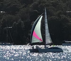 Lock Crowther Multihull Regatta photo copyright  Stephen Barton taken at  and featuring the  class