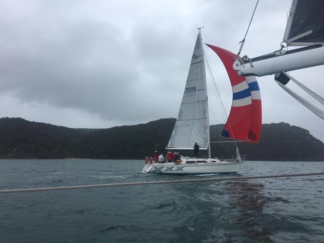 Tenspeed - Farr to Young Regatta © Seamus Campbell