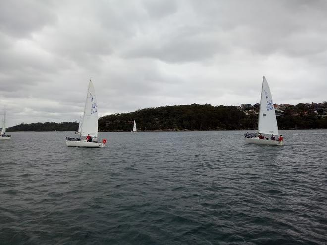 2017 NSW J24 Championships - Day 2 © Mick Reynolds