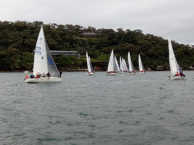 2017 NSW J24 Championships - Day 2 © Mick Reynolds