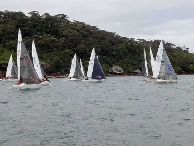 2017 NSW J24 Championships - Day 2 © Mick Reynolds