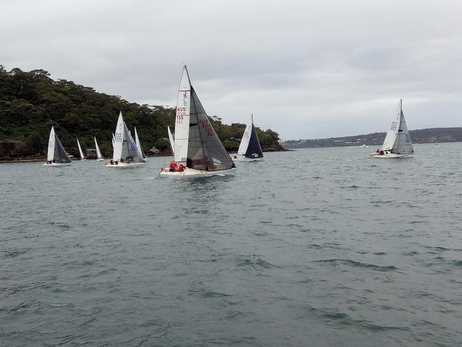 2017 NSW J24 Championships - Day 2 © Mick Reynolds